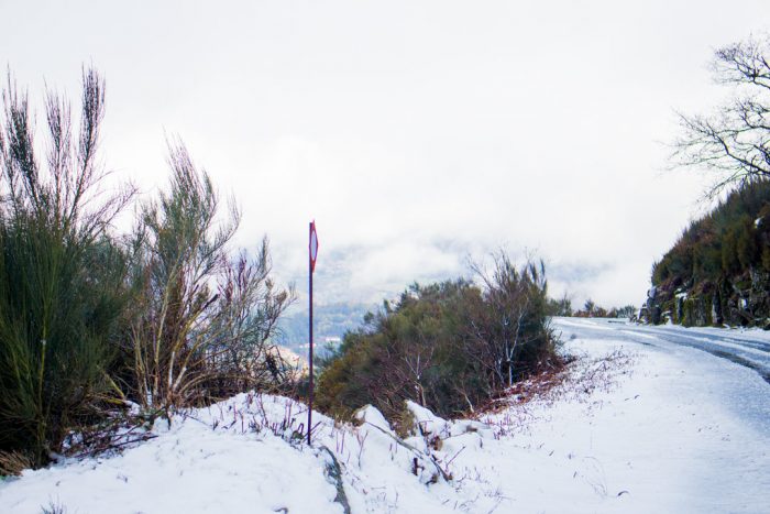 Neve