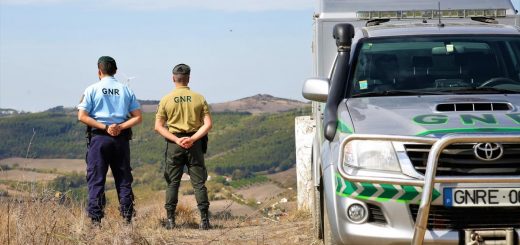 Gnr vigilancia floresta