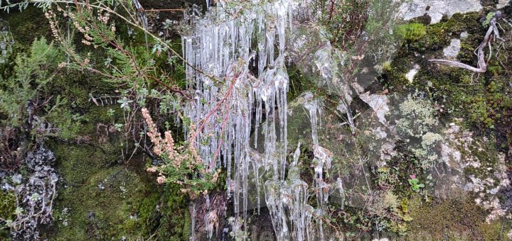 frio