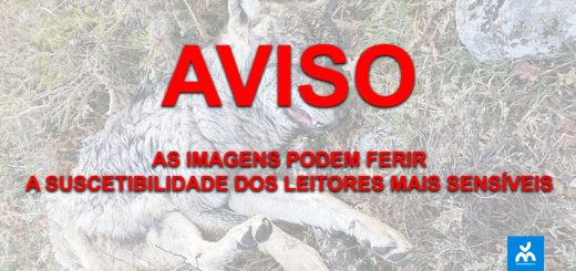 Aviso