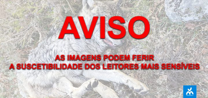 Aviso