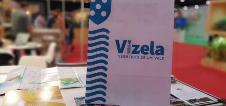 Vizela
