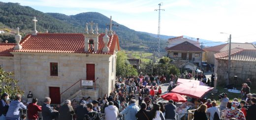 leilão carnes mondim
