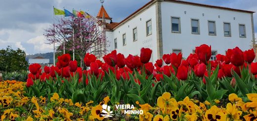 vieira do minho