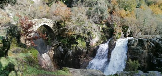 vieira do minho ruivaes misarela