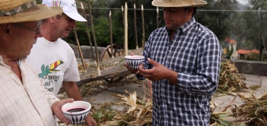 Marcio Cabril Desfolhada