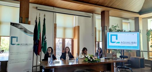 aqualibri
