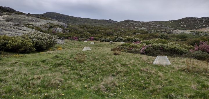 Serra da Estrela