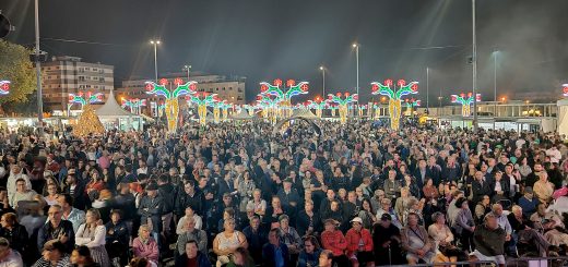 festas das colheitas vila verde