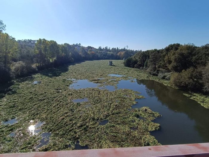 Rio Cávado Jacintos Barcelos
