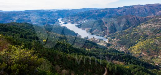 Gerês Peneda Parque Nacional